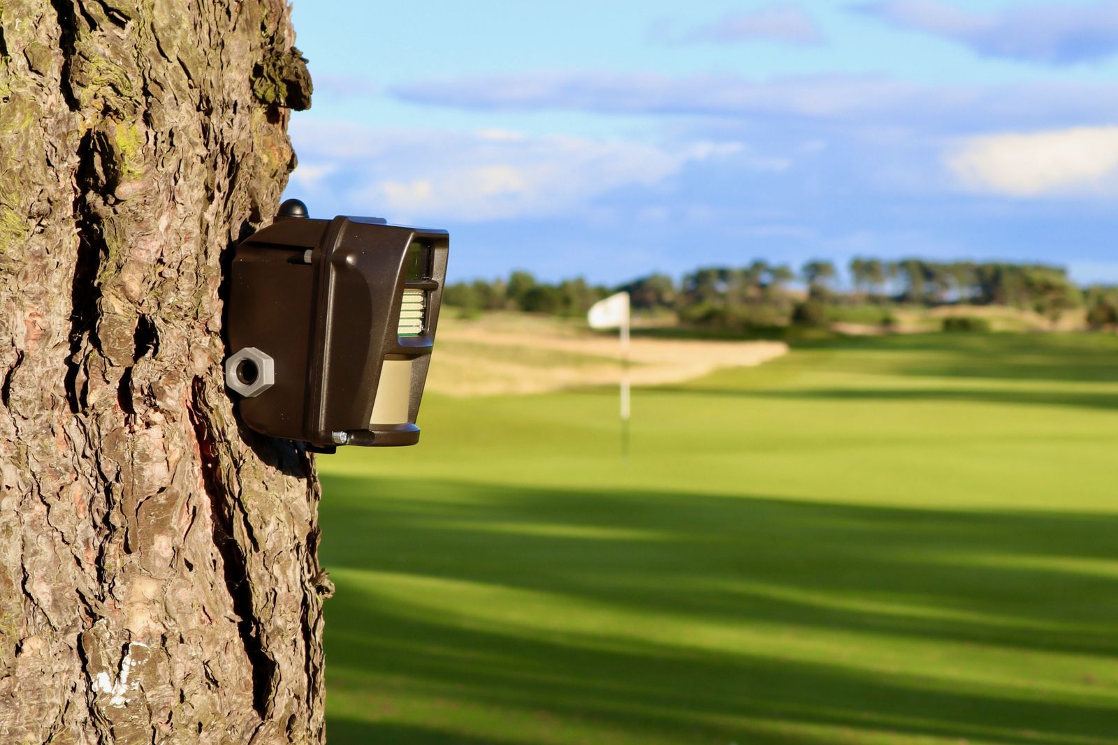 Battery-powered wireless camera fixed to a tree overlooking open ground